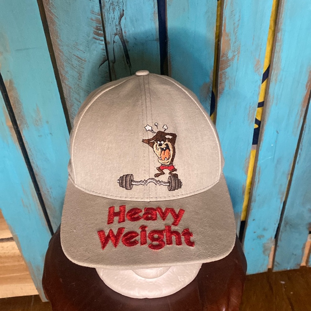 Vintage Warner Brothers Tasmanian Devil Taz heavy weight embroidered hat